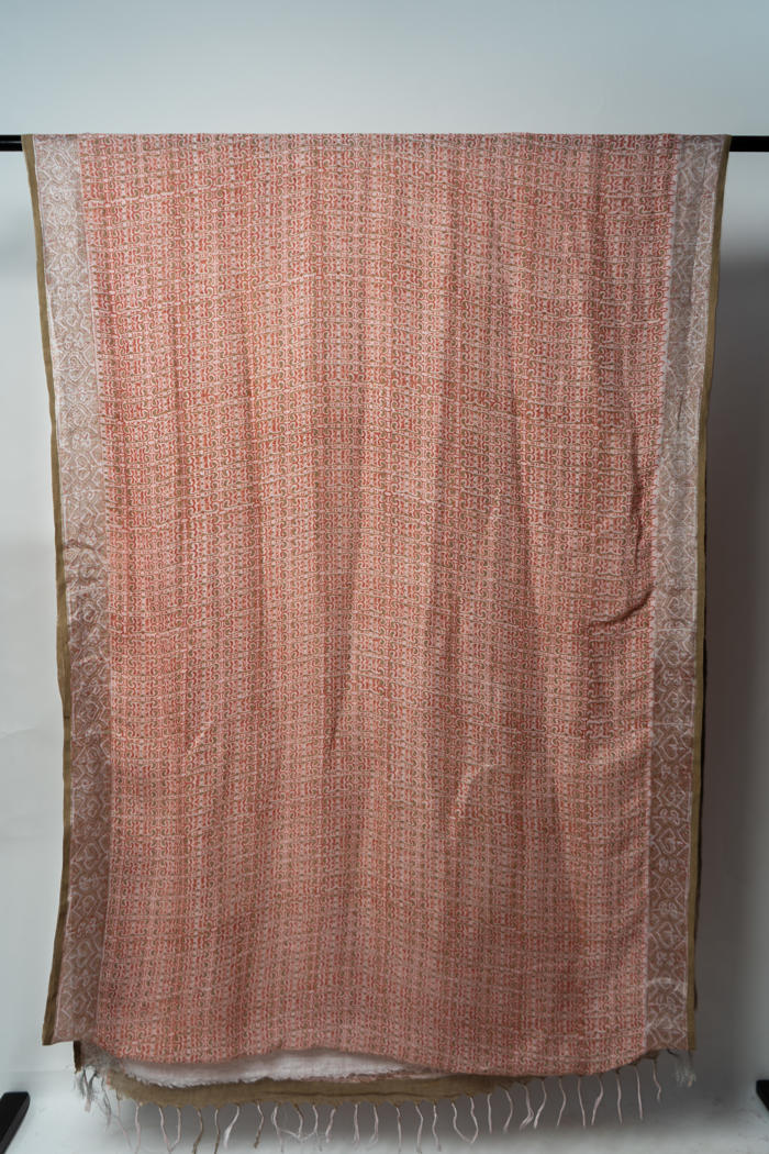 Handwoven Bhagalpur Saree with Subtle Motifs, Natural Dyes, and Elegant Contrasting Detailed Borders