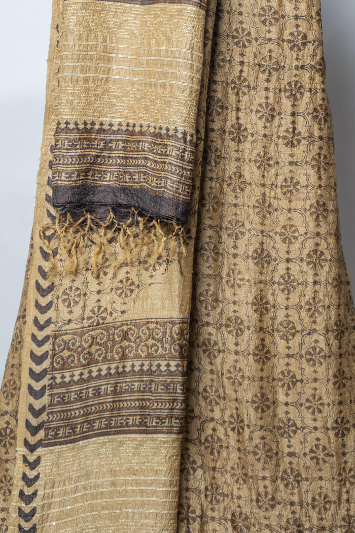 Antique Grace with Intricate Floral Motifs and Geometric Borders for a Regal Statement Look